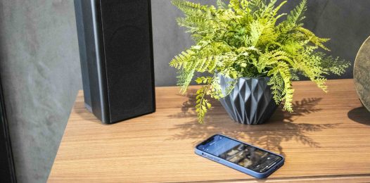 Whole Home Audio