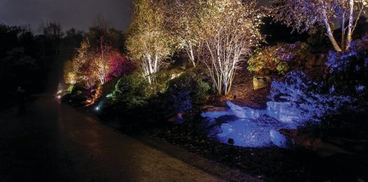 A beautifully illuminated outdoor landscape at night showcasing the use of colored lighting, uplighting, and other effects.